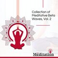 Paul Peace Meditation Library - Remembering Meditation