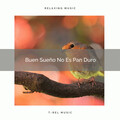 Musica Relajante Para Dormir - Los Ruidos de Cigarras del Bosque y Sueños de Relajarse pt. 1