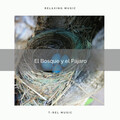 Musica Relajante Para Dormir - Los Aves Cantando y Relajarse con Hermosos Sonidos del Bosque pt. 1