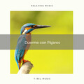 Musica Relajante Para Dormir - Sonidos Calmante del Bosque para Dormir Profundamente pt. 3