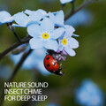 Reading and Studying Music、Perfect Meditation、Binaural Beats Recordings - The Cricket Song