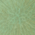 Gaia Gardens、Focusity - Stylish Misunderstood