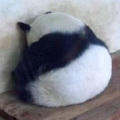 说书人.K - 白露