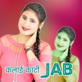 Niyamat Singer Mewati、法雅 - Kalai Kaati Jab