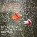 Sleeping Music For Dogs、Calm Stress Relief、Weather and Nature Recordings - Silent Night