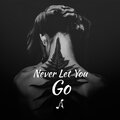 Arteen - Never Let You Go (Explicit)