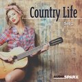 Elizabeth C. Axford - It's Not Like We Never Drove Through Texas