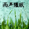 博士说书 - 下雨的声音 催眠必备，治愈失眠