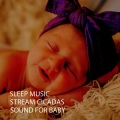 Natural Baby Sleep Aid Academy、The Baby Music Snoozers、Nature Calm - Sleeptime In The Rain