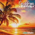 Kevin M. Baumgard - Coconut Beach