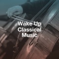 The Image Orchestra - Salut d'amour in E Major, Op.12