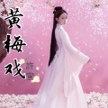 許宣 - 黄梅戏 (Remix)