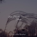 Sounds of Nature White Noise Sound Effects、Entspannungsmusik Oase、Zen Meditate - Pluto Harmony