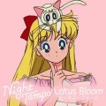 Night Tempo - ひとりでHerself