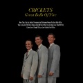 The Crickets - I Fought the Law