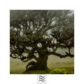 Tibetan Music Bowls - Still Bowls Music for Relax