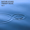 Baltic Nature Sounds、Natures Orchestra、Mother Nature Sound FX - Calming Music for Deep Sleep