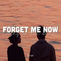 Quanvrox、Trí Dũng、Fishy - Forget Me Now (Lofi)