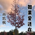 凯枫 - 如果爱还在