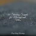 White Noise Baby Sleep、Guided Meditation、Relajación - Flowing Breeze