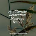 Sleepy Times、White Noise Nature Sounds Baby Sleep、Academia de Música para Massagem e Relaxamento - Sleep Well