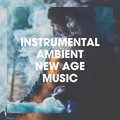 Blanka Juhanakova、Moses Hayoun (Hebrew Poem)、Peter Kollarik、Slovak Philharmonic Choir、The New Millennium Orchestra - Birth and Perfection of the Universe