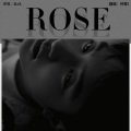 钟意i - Rose
