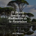 Fabricantes De Lluvia、Meditação Maestro、Música a Relajarse - Ascuas