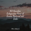 Canciones Para Niños、Escola de Meditação、Meditar Profundamente - Meditación Sin Consolidar