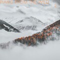 Sleep Sound Library、White Noise Sleep Sounds、The Sleep Specialist - Revolving Mind