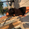 Geezy - Tamia (Explicit)