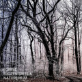 Rain is my Life、Rain In Spain、Rain Recorders - Rainstorm Music For Sleep