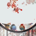 公子祸水、青黛 - 杏林无花