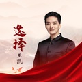 王凯 - 选择