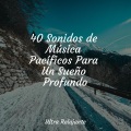 Meditar Profundamente、Musica Para Meditar、Naturaleza Relajacion - Rapsodia Vespertina