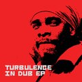 turbulence、kemar mcgregor、Stephan Warren、Rogier Sjardijn - Mr Big Man In Dub