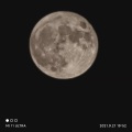 温不仁 - 恋