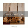 Música Relajante para Perros - La Selva Calmada con Pajaritos para Dormir Profundamente con Sonidos de la Naturaleza pt. 1