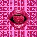 Dj Vibes EDM - Ibiza Electro Grooves