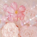会飞的dua - 别问很可怕