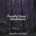 Binaural Beats Brainwave Entrainment、Ambientalism、Alpha Brain Waves - Dreamwave