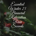 Nature Sounds、Wave Sound Group、Massagem Coleção de Músicas - Crackling Campfire