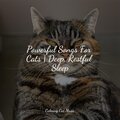 Music for Resting Cats、Cats Music Zone、Cat Music Experience - Loving Atmosphere