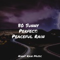 Rain Sounds Collection、Egyptian Meditation Temple、Sounds of Nature White Noise for Mindfulness Meditation and Relaxation - Park, Birds, Insects, Busy, Calm Wind