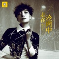 魏佳艺 - 走在冷雨中