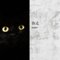 超级老虎菜 - 你走