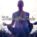 Yoga Tribe - Equalise