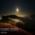 Physical Dreams、Vicente Lopez Abellan - Sounds of Water Nº5