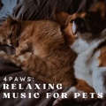 Dog Sleep Dreams、Music For Cats and Dogs、Dog Music TA - Good dog
