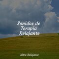 Musica Para Dormir Profundamente、Musica Relajante Para Dormir、Sons da natureza HD - Mezcla De Arroyo Y Lluvia